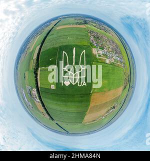 Das riesige Symbol des Landes Ukraine ist ein Dreizack, der von Maiskeimen in einem Maisfeld geschaffen wird. Blick von oben. Stilisierung für den Planeten Erde. 05,08. Stockfoto