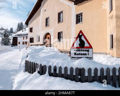 Cinuos-Chel, Schweiz - 3. Februar 2022: Verkehrsschild mit dem Bild einer Katze und der deutschen Inschrift: Achten Sie auf Katzen! Vorsichtig fahren, Stockfoto