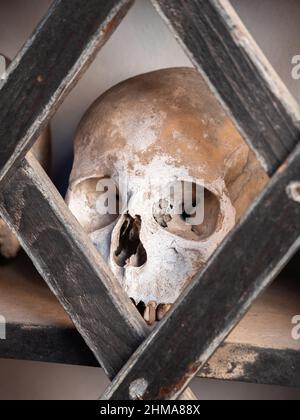 Ein menschlicher Schädel im Beinhaus der Kirche San Vittore Mauro in Poschiavo, der seit 1903 existiert. Stockfoto