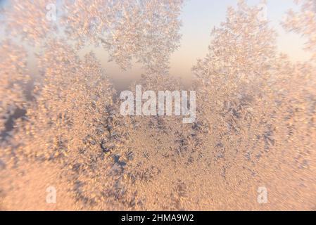 Frost auf Fensterglas Makro mit Sonnenschein Stockfoto