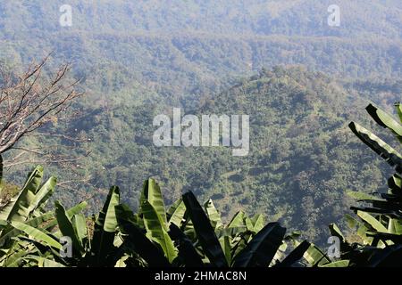 Tolle grüne Bergketten. Gipfel umgeben von grünen Pflanzen und einem blauen Himmel Hintergrund. Stockfoto