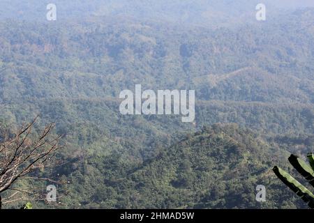 Tolle grüne Bergketten. Gipfel umgeben von grünen Pflanzen und einem blauen Himmel Hintergrund. Stockfoto