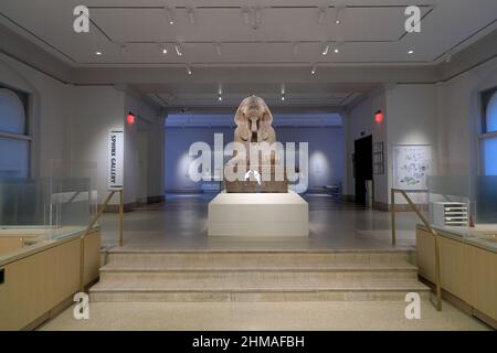 Die Statue der Sphinx von Ramses II. Wird im Penn Museum ausgestellt.Universität von Pennsylvania.Philadelphia.Pennsylvania.USA Stockfoto