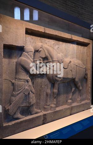 Das kalkgeschnitzte Relief des Kaiser Taizong Pferdesaluzi aus der chinesischen Tang-Dynastie wird in den Galerien der Chinesischen Rotunde Asiens im Penn Museum der Universität von Pennsylvania ausgestellt.Philadelphia.Pennsylvania.USA Stockfoto