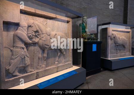 Kalkstein geschnitzte Reliefs von Kaiser Taizongs Pferden von Saluzi und Quanmaogua aus der chinesischen Tang-Dynastie Ausstellung in der chinesischen Rotunde Asiens Galerien des Penn Museums.Universität von Pennsylvania.Philadelphia.Pennsylvania.USA Stockfoto