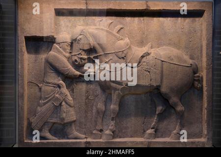 Das kalkgeschnitzte Relief des Kaiser Taizong Pferdesaluzi aus der chinesischen Tang-Dynastie wird in den Galerien der Chinesischen Rotunde Asiens im Penn Museum der Universität von Pennsylvania ausgestellt.Philadelphia.Pennsylvania.USA Stockfoto