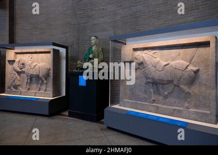 Kalkstein geschnitzte Reliefs von Kaiser Taizongs Pferden von Saluzi und Quanmaogua aus der chinesischen Tang-Dynastie Ausstellung in der chinesischen Rotunde Asiens Galerien des Penn Museums.Universität von Pennsylvania.Philadelphia.Pennsylvania.USA Stockfoto