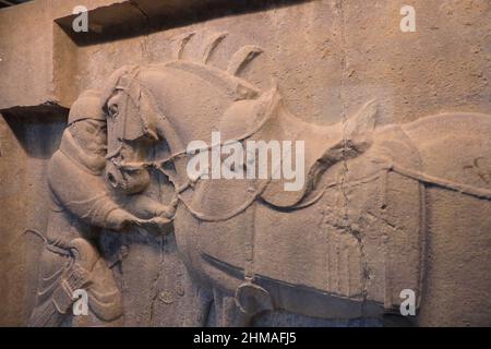 Eine verschlossene Ansicht des Kalksteinreliefs von Kaiser Taizong Horse Saluzi aus Chinas Tang-Dynastie-Ausstellung im Penn Museum der Universität von Pennsylvania.Philadelphia.Pennsylvania.USA Stockfoto