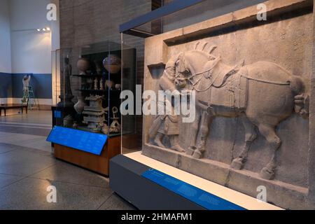 Das kalkgeschnitzte Relief des Kaiser Taizong Pferdesaluzi aus der chinesischen Tang-Dynastie wird in den Galerien der Chinesischen Rotunde Asiens im Penn Museum der Universität von Pennsylvania ausgestellt.Philadelphia.Pennsylvania.USA Stockfoto