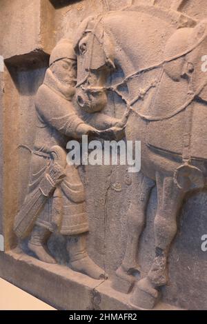 Eine geschlossene Ansicht des Kalkstein geschnitzten Reliefs von Kaiser Taizong Pferd Saluzi aus Chinas Tang-Dynastie Ausstellung in der chinesischen Rotunde von Asien Galerien im Penn Museum der Universität von Pennsylvania.Philadelphia.Pennsylvania.USA Stockfoto