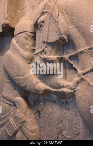 Eine geschlossene Ansicht des Kalkstein geschnitzten Reliefs von Kaiser Taizong Pferd Saluzi aus Chinas Tang-Dynastie Ausstellung in der chinesischen Rotunde von Asien Galerien im Penn Museum der Universität von Pennsylvania Stockfoto