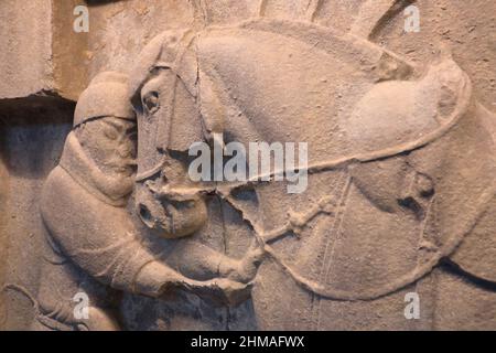 Eine geschlossene Ansicht des Kalkstein geschnitzten Reliefs von Kaiser Taizong Pferd Saluzi aus Chinas Tang-Dynastie Ausstellung in der chinesischen Rotunde von Asien Galerien im Penn Museum der Universität von Pennsylvania.Philadelphia.Pennsylvania.USA Stockfoto