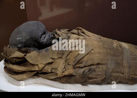 Eine ägyptische Kindermumie aus griechisch-römischer Zeit im Penn Museum.University of Pennsylvania.Philadelphia.Pennsylvania.USA Stockfoto