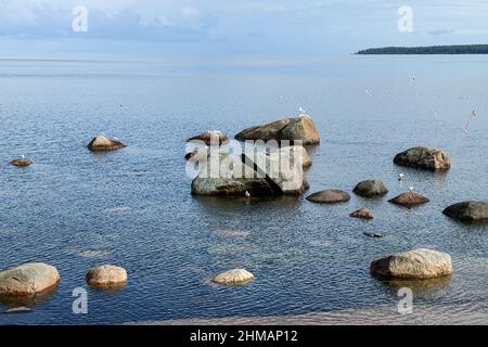 Kaesmu Estonia Baltics Beach jeder Vogel auf seiner eigenen Steinlandschaft Stockfoto