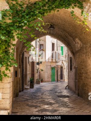 Landschaftlich reizvolle Sehenswürdigkeit in Giovinazzo, Stadt in der Provinz Bari, Apulien (Apulien), Süditalien. Stockfoto