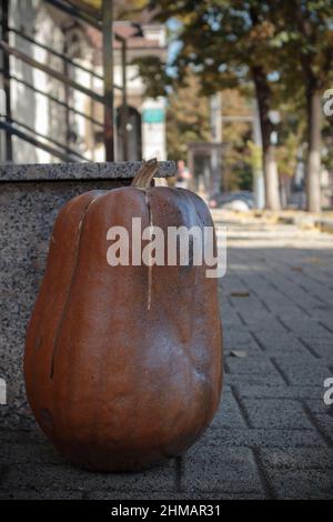 Kürbis auf dem Bürgersteig in der Stadtstraße. Halloween Dekoration im Freien. Platz für Text. Frohe halloween. Herbstmarkt in der Stadt. Nahaufnahme. Licht und Schatten. Stockfoto