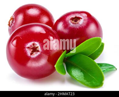 Reife rote Preiselbeeren mit grünen Blättern auf weißem Hintergrund. Nahaufnahme. Stockfoto