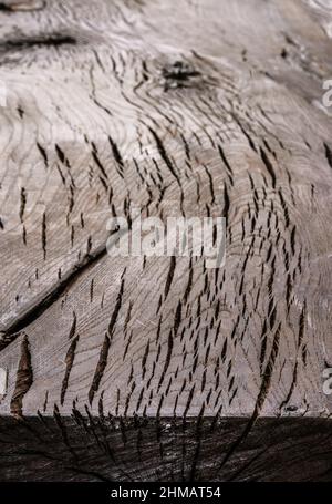 Leere alte gesprungene Eichendielen oder Tische. Nahaufnahme der Holzstruktur. Stockfoto