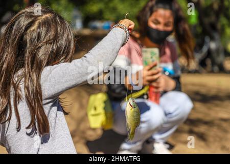 Una Niña observa un pez lobina de la pesca deportiva y recreativa que practican las familias hermosillenses en el humedal del Parque La Sauceda, su madre le Toma una fotografia con su telefono inteligente, Ein Mädchen beobachtet einen Barschfisch aus dem Sport- und Freizeitfischen, das Familien aus Hermosillo im Feuchtgebiet des La Sauceda Parks praktizieren, ihre Mutter fotografiert ihn mit ihrem Smartphone, Am 5. Februar 2022 in Hermosillo, Mexiko, anlässlich des Welttages der Feuchtgebiete zur Förderung der Erhaltung und Erhaltung der biologischen Vielfalt der Ökosysteme. (Foto von Luis Gutierrez Norte Photo/) Stockfoto