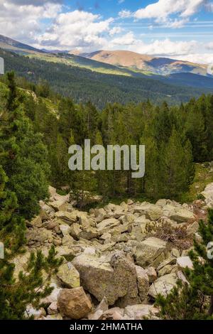 Sommerlandschaft in La Cerdanya, Pyrenäen, Katalonien, Spanien. Stockfoto