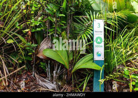 Praslin, Seychellen, 01.05.2021. Wegweiser für den Glacis Noir Nature Trail zwischen üppiger tropischer Vegetation, Pflanzen und Palmenblättern auf Praslin Island. Stockfoto