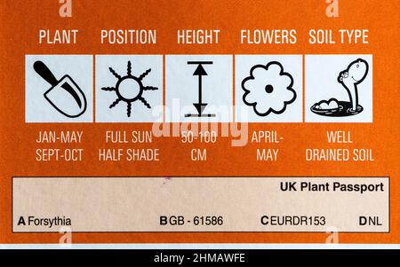 UK Plant Passport Details & Pflegehinweise fr eine Pflanze, die von einem  Gartencenter gekauft wurde Stockfotografie - Alamy