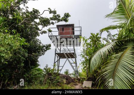 Feuerbeobachtungsturm auf dem Gipfel des Mont Azore (Fond Azore), auf dem Naturpfad Glacis Noire, dem höchsten Gipfel der Insel Praslin, Seychellen. Stockfoto