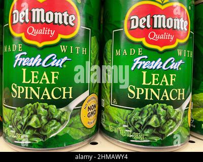 Grovetown, GA USA - 01 01 22: Lebensmitteleinzelhandel Regale Delmonte Leaf Spinat aus der Dose Stockfoto