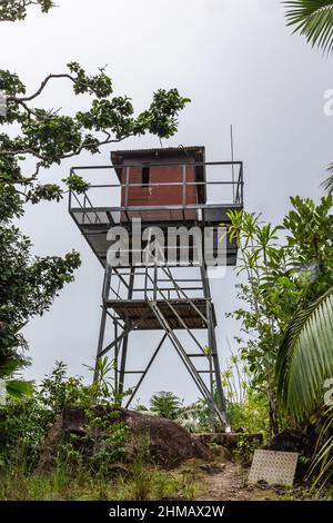 Feuerbeobachtungsturm auf dem Gipfel des Mont Azore (Fond Azore), auf dem Naturpfad Glacis Noire, dem höchsten Gipfel der Insel Praslin, Seychellen. Stockfoto