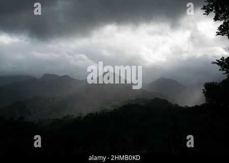 Pano ramische Sicht auf den tropischen Regenwald im Santa Fe National Park, Panama Stockfoto