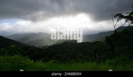 Pano Blick auf den tropischen Regenwald im Santa Fe National Park, Panama Stockfoto