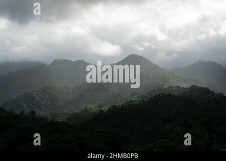 Pano Blick auf den tropischen Regenwald im Santa Fe National Park, Panama Stockfoto