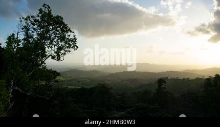 Pano Blick auf den tropischen Regenwald im Santa Fe National Park, Panama Stockfoto