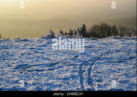 Bergwiese mit blauem Schnee bedeckt, Hügelrand mit Baum, Silhouette eines nebligen Hügels am Horizont bei Sonnenuntergang Beleuchtung. Hill Kozakov, Tschechische Republik Stockfoto