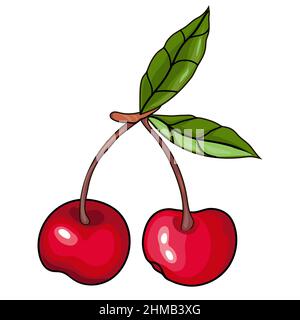 Kirsche Beere bunte Handzeichnung. Cherry handgezeichnetes Bild für Lebensmittel, Vektor. Stock Vektor