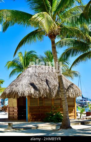 Eine reetgedeckte Tiki-Hütte am Strand mit Blick auf das Karibische Meer in San Pedro, Belize. Stockfoto