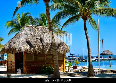 Eine reetgedeckte Tiki-Hütte am Strand mit Blick auf das Karibische Meer in San Pedro, Belize. Stockfoto