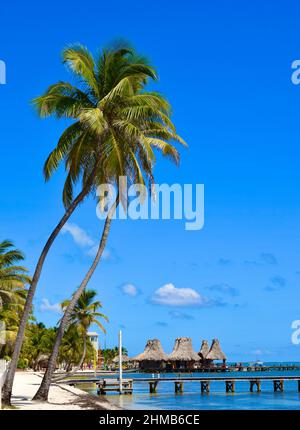 Ein sonniger Tag am Strand mit Blick auf polynesische Tiki-Hütten, Palmen, Piers und das Karibische Meer in San Pedro, Belize. Stockfoto