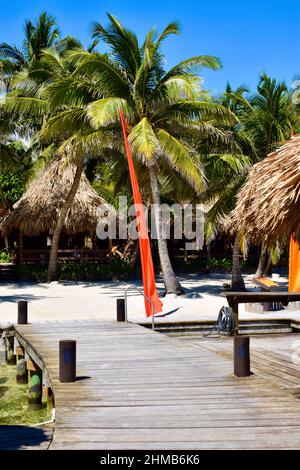 Ein polynesisches Strandresort in San Pedro, Belize, mit Strohdächern und umgeben von Palmen. Stockfoto