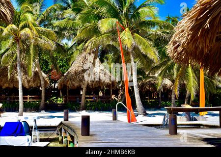 Ein polynesisches Strandresort in San Pedro, Belize, mit Strohdächern und umgeben von Palmen. Stockfoto