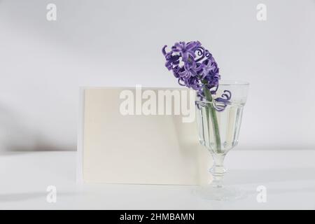 Leere Hochzeit Einladung Schreibwaren Karte Mockup mit Umschlag auf weißem Hintergrund mit Hyazinthe Blumen, feminine Blog. Valentinskarte, valentinstag Stockfoto