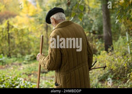 Ein alter Mann mit einem Stock geht durch den Garten. Ein Mann im Alter in der Natur. Rentner auf der Straße. Eine Person lehnt sich an einen langen Stock. Stockfoto