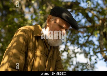 Ein alter Mann im Schatten. Ein Mann mit einem grauen Bart. Großvater an einem sonnigen Tag im Garten. Stockfoto