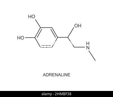 Adrenalin-Symbol. Epinephrinhormon, das von der Nebenniere produziert wird. Chemische Molekülstruktur. Vektordarstellung. Stock Vektor