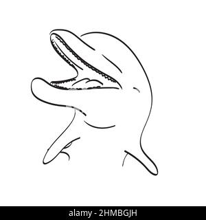 Nahaufnahme lächelnd Delphin Illustration Vektor Hand gezeichnet isoliert auf weißem Hintergrund Linie Kunst Stock Vektor