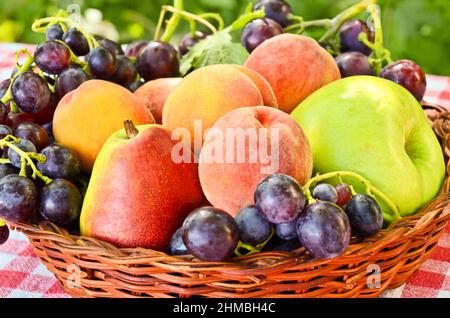 Gemischtes Obst im Korb Stockfoto