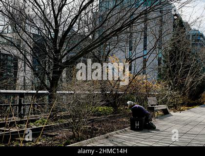 The High Line, eine gemeinnützige Organisation und der beliebte öffentliche Park von New York, der vom niederländischen Gärtner Pete Oudolf entworfen wurde, wird größtenteils von Freiwilligen unterhalten Stockfoto