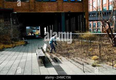 The High Line, eine gemeinnützige Organisation und der beliebte öffentliche Park von New York, der vom niederländischen Gärtner Pete Oudolf entworfen wurde, wird größtenteils von Freiwilligen unterhalten Stockfoto