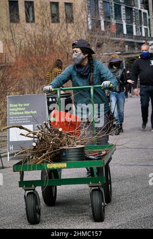 The High Line, eine gemeinnützige Organisation und der beliebte öffentliche Park von New York, der vom niederländischen Gärtner Pete Oudolf entworfen wurde, wird größtenteils von Freiwilligen unterhalten Stockfoto