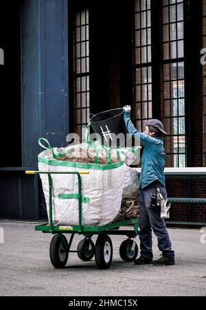 The High Line, eine gemeinnützige Organisation und der beliebte öffentliche Park von New York, der vom niederländischen Gärtner Pete Oudolf entworfen wurde, wird größtenteils von Freiwilligen unterhalten Stockfoto